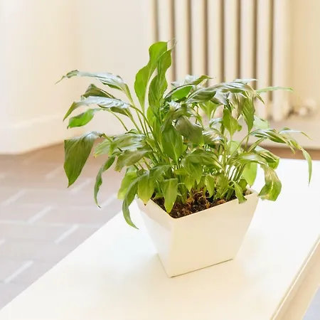 Appartement Ee Luxury *